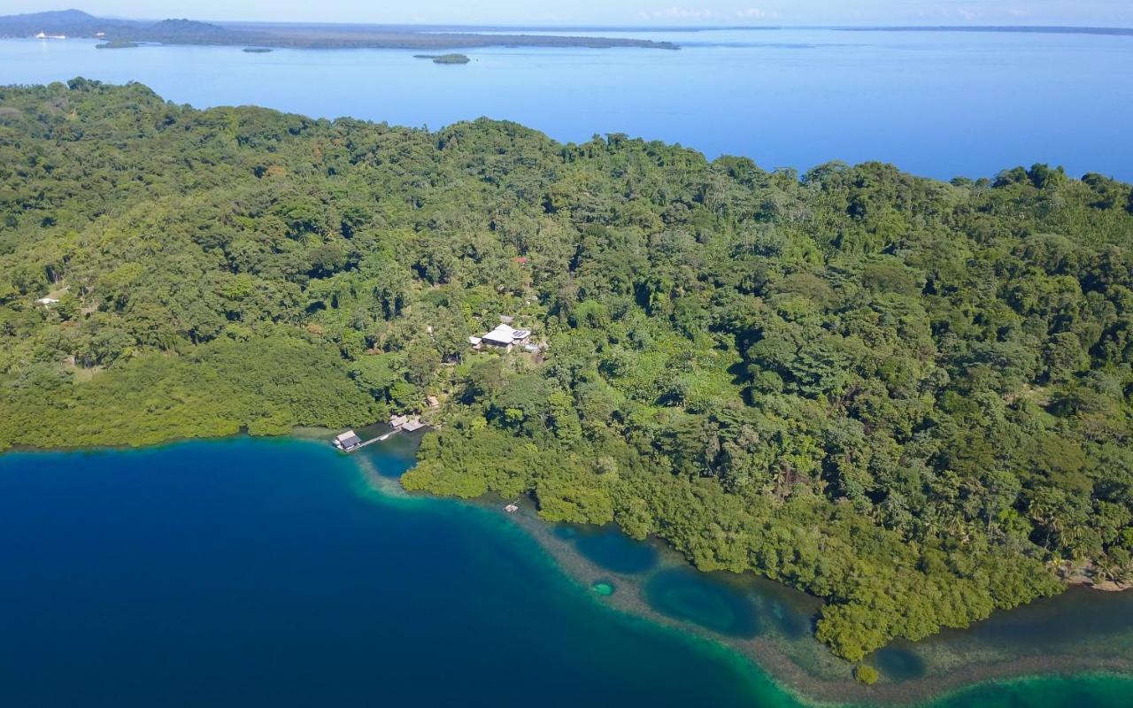 Finca Vela Lodge Бокас дел Торо Екстериор снимка