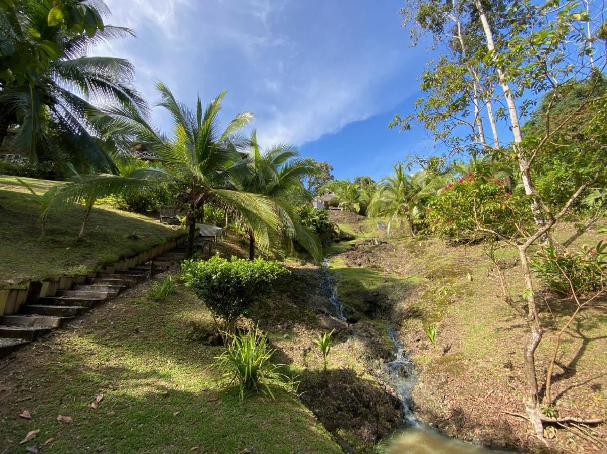 Finca Vela Lodge Бокас дел Торо Екстериор снимка