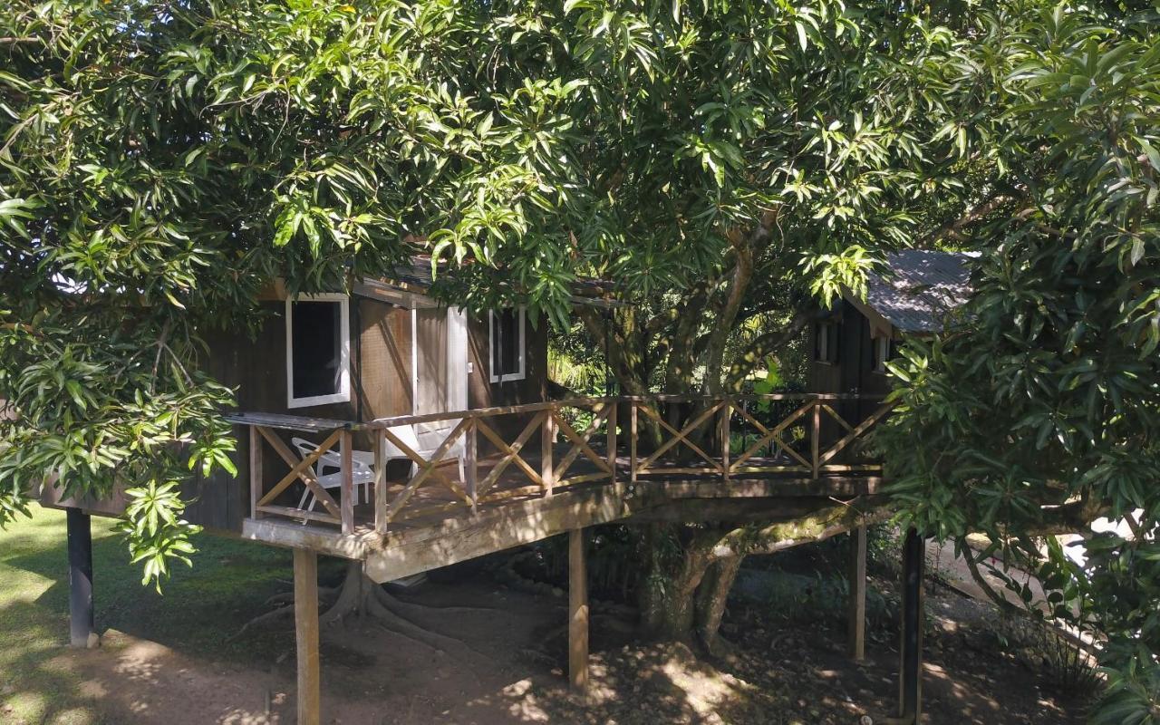 Finca Vela Lodge Бокас дел Торо Екстериор снимка