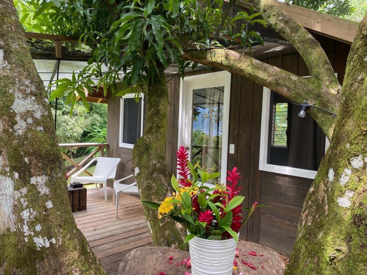 Finca Vela Lodge Бокас дел Торо Екстериор снимка
