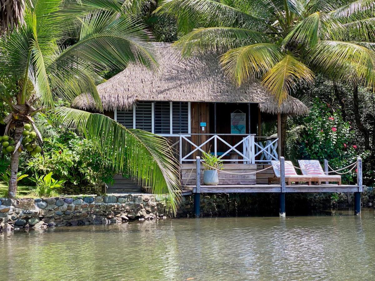 Finca Vela Lodge Бокас дел Торо Екстериор снимка