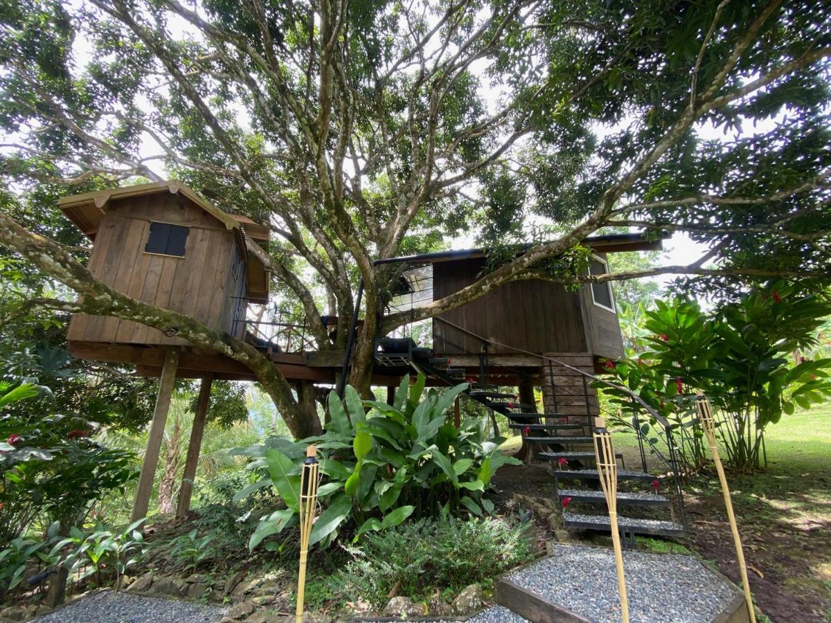 Finca Vela Lodge Бокас дел Торо Екстериор снимка