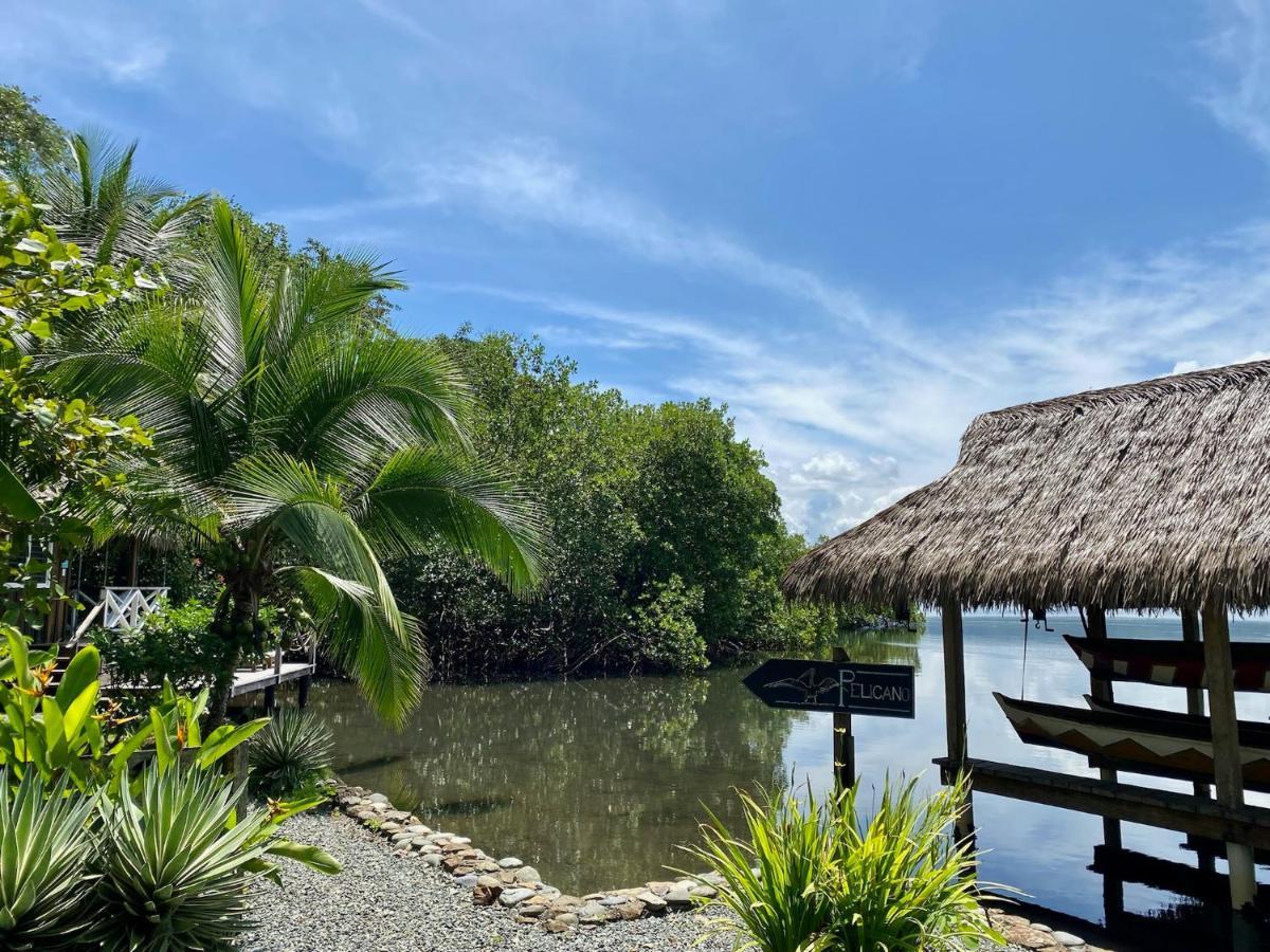 Finca Vela Lodge Бокас дел Торо Екстериор снимка