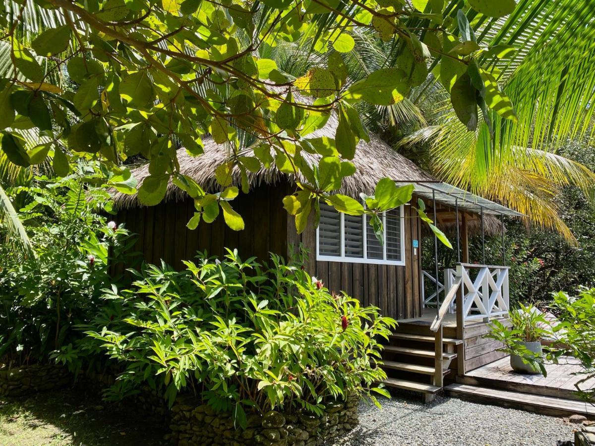 Finca Vela Lodge Бокас дел Торо Екстериор снимка