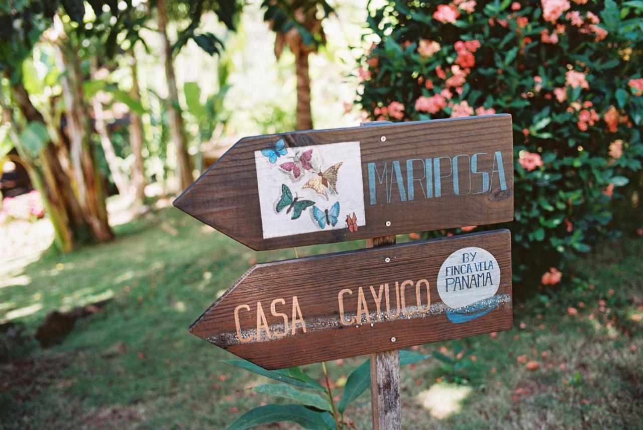 Finca Vela Lodge Бокас дел Торо Екстериор снимка