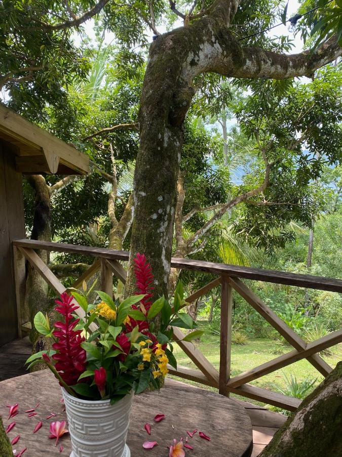 Finca Vela Lodge Бокас дел Торо Екстериор снимка