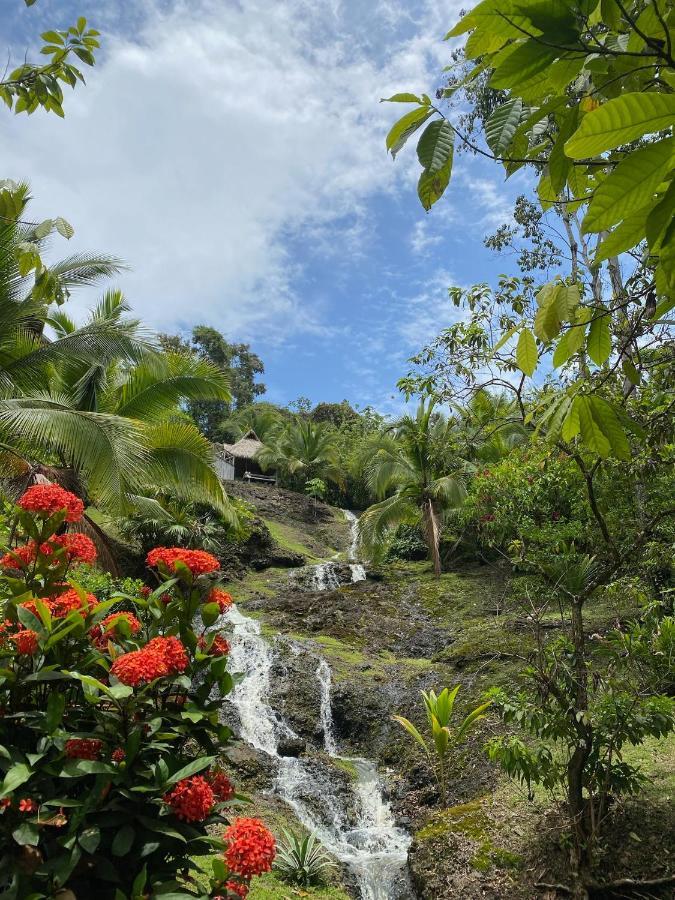 Finca Vela Lodge Бокас дел Торо Екстериор снимка