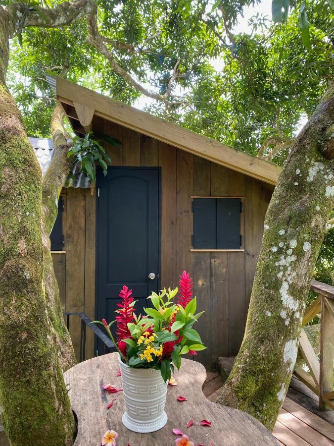Finca Vela Lodge Бокас дел Торо Екстериор снимка