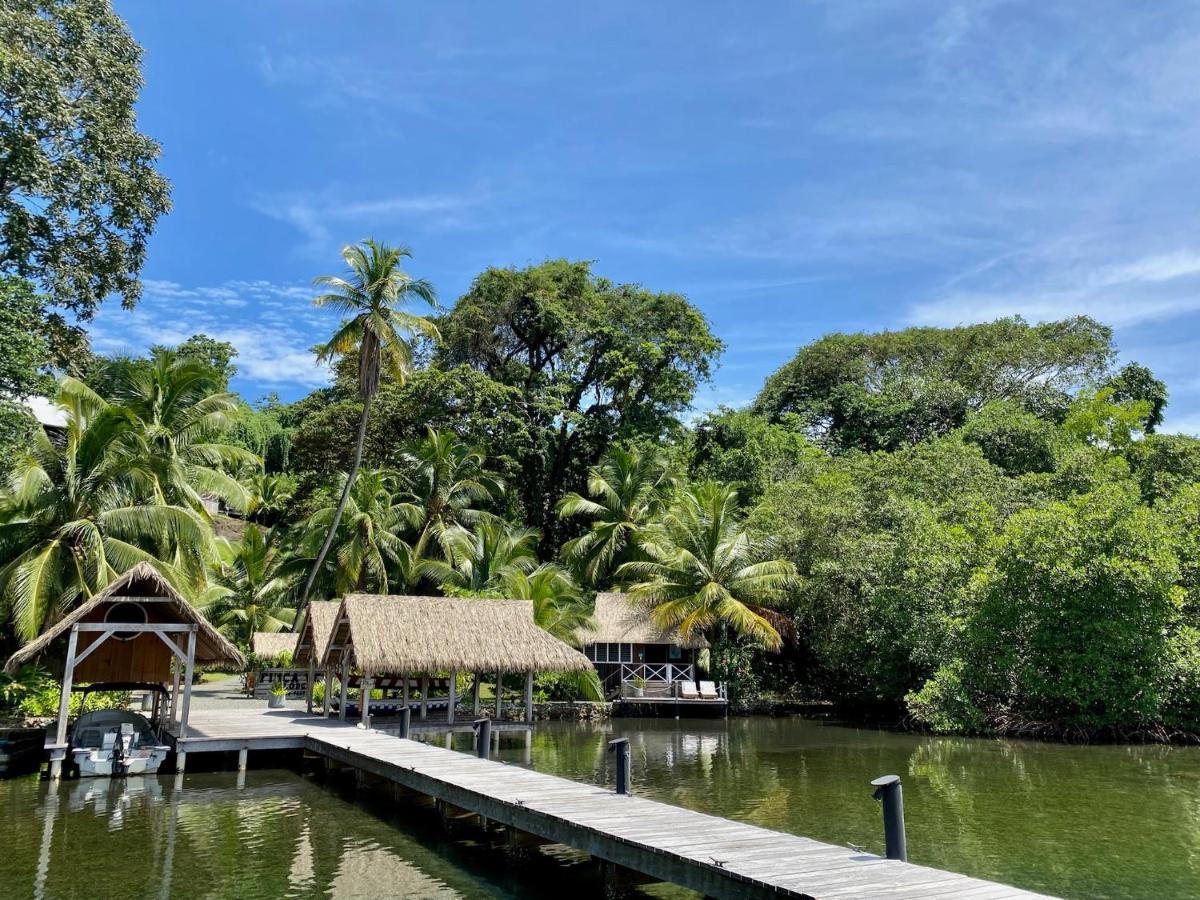 Finca Vela Lodge Бокас дел Торо Екстериор снимка