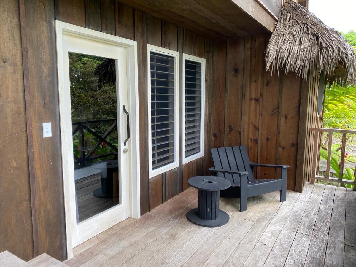 Finca Vela Lodge Бокас дел Торо Екстериор снимка