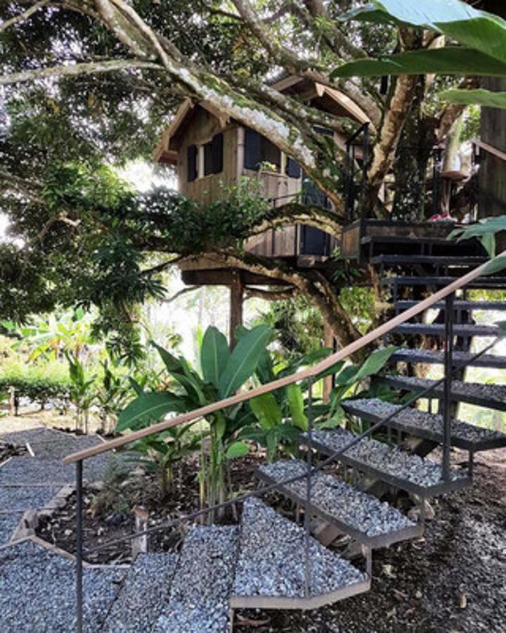 Finca Vela Lodge Бокас дел Торо Стая снимка
